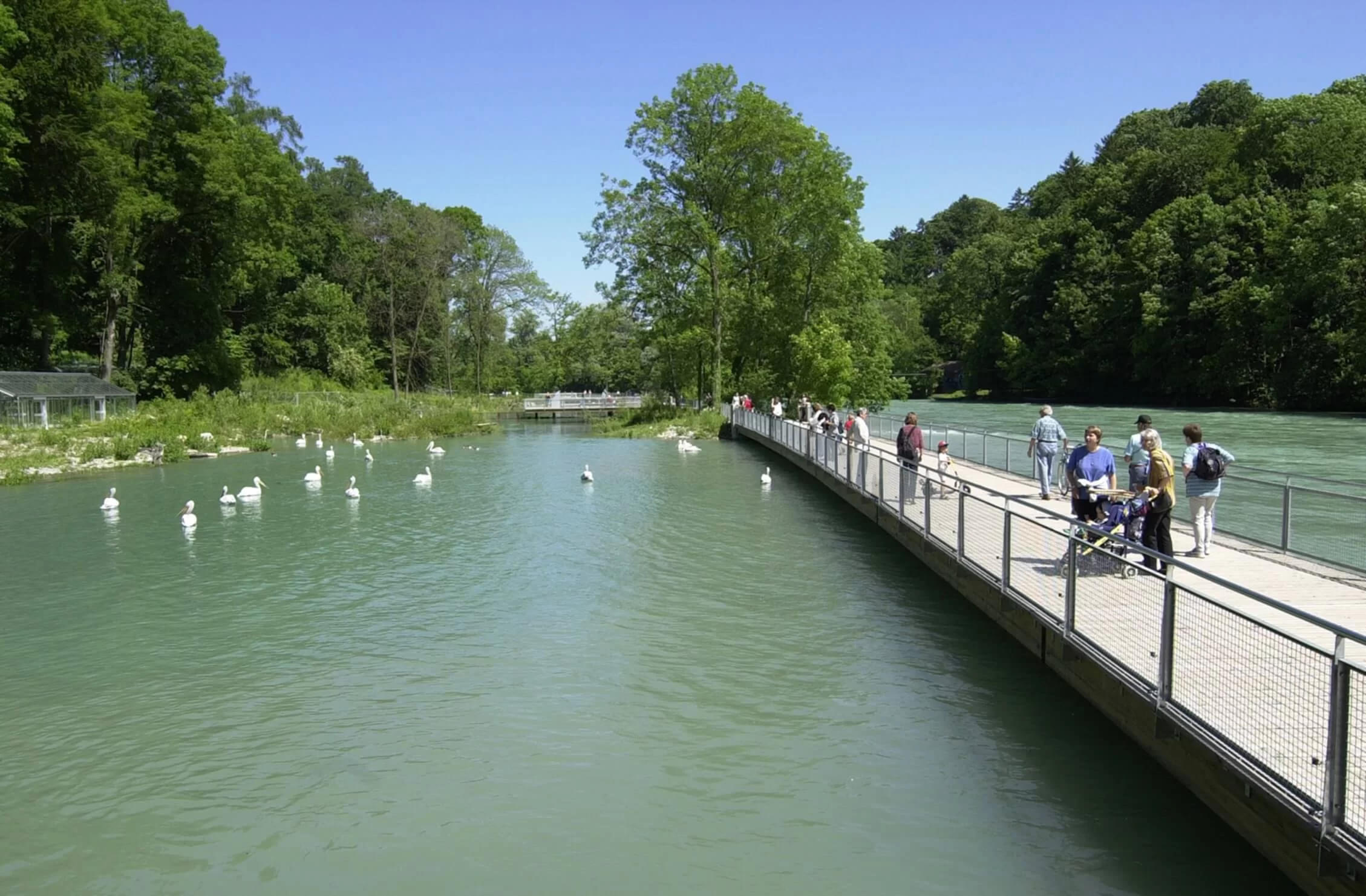 Relax at the Aare River and Children’s Zoo