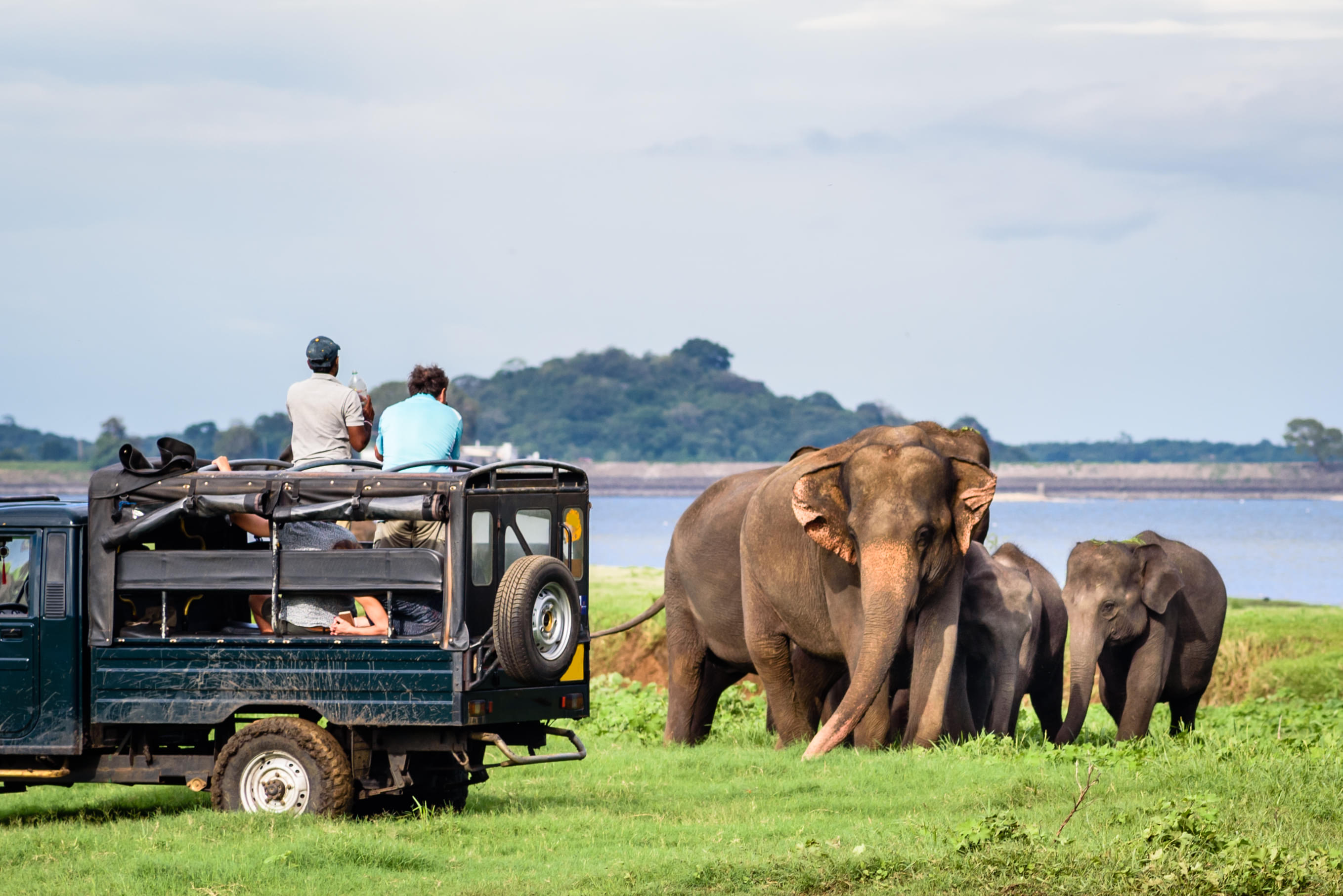 Yala National Park Jeep Safari | Book Now @ Flat 15% Off