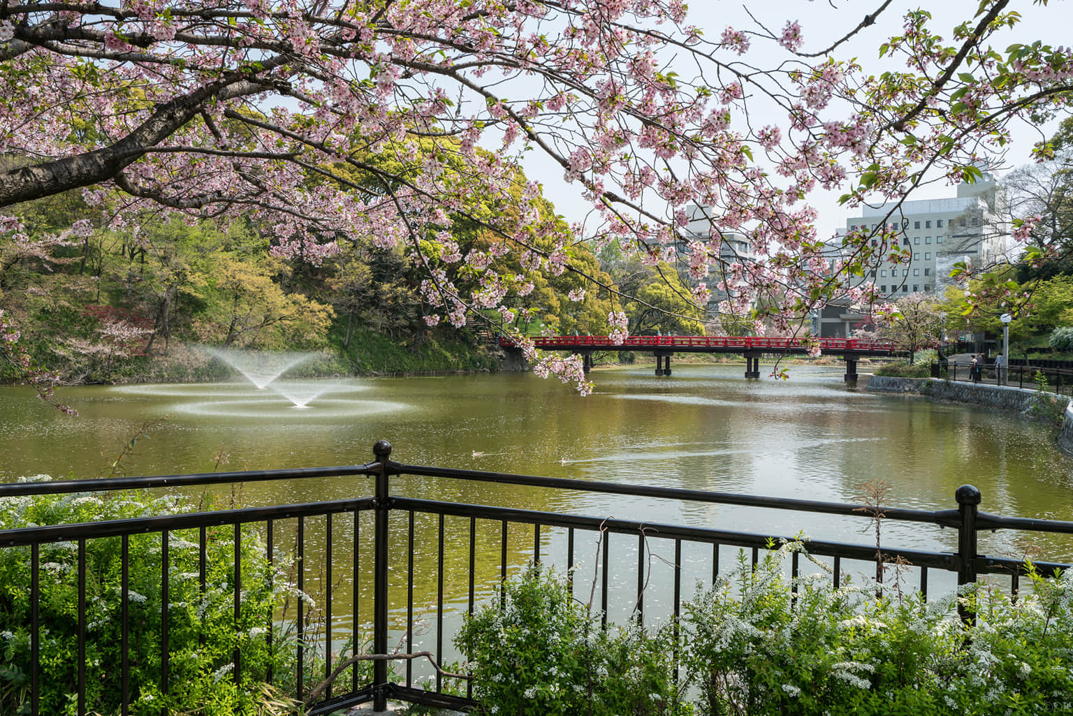 Tennoji Park