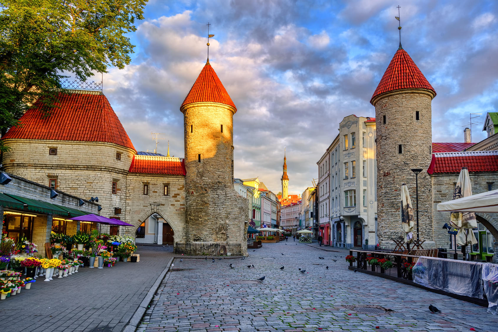 Tallinn Old Town 