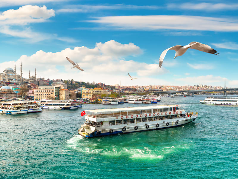 Hop-on Hop-off Bosphorus Sightseeing Cruise, Istanbul