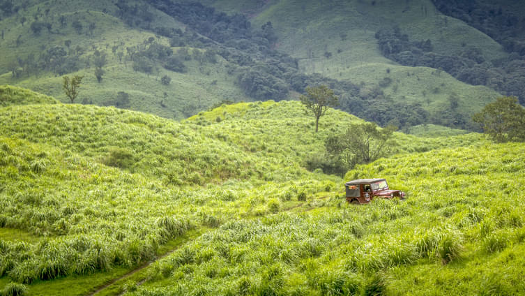 Z1igfi1e5172g725tlci53rlbghx 1531205533 shutterstock 613736810