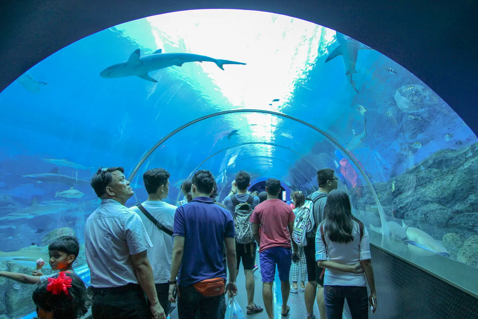 Singapore Oceanarium