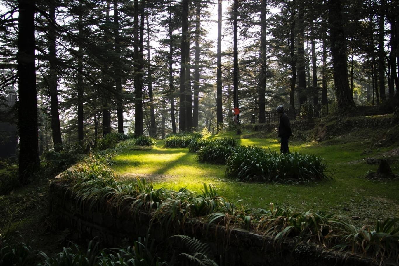 Dharamshala Tourism