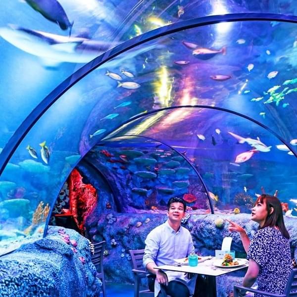 Underwater Dining.jpg