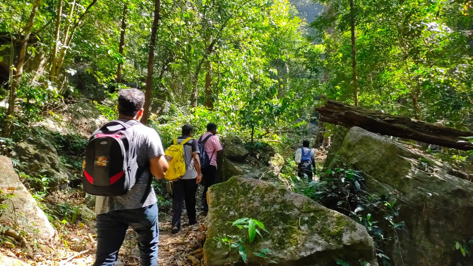 Trekking to Agasthya Peak