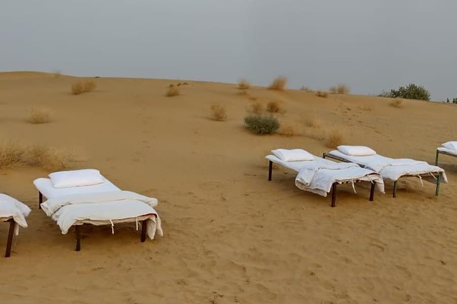 Camping Under the Stars  Image