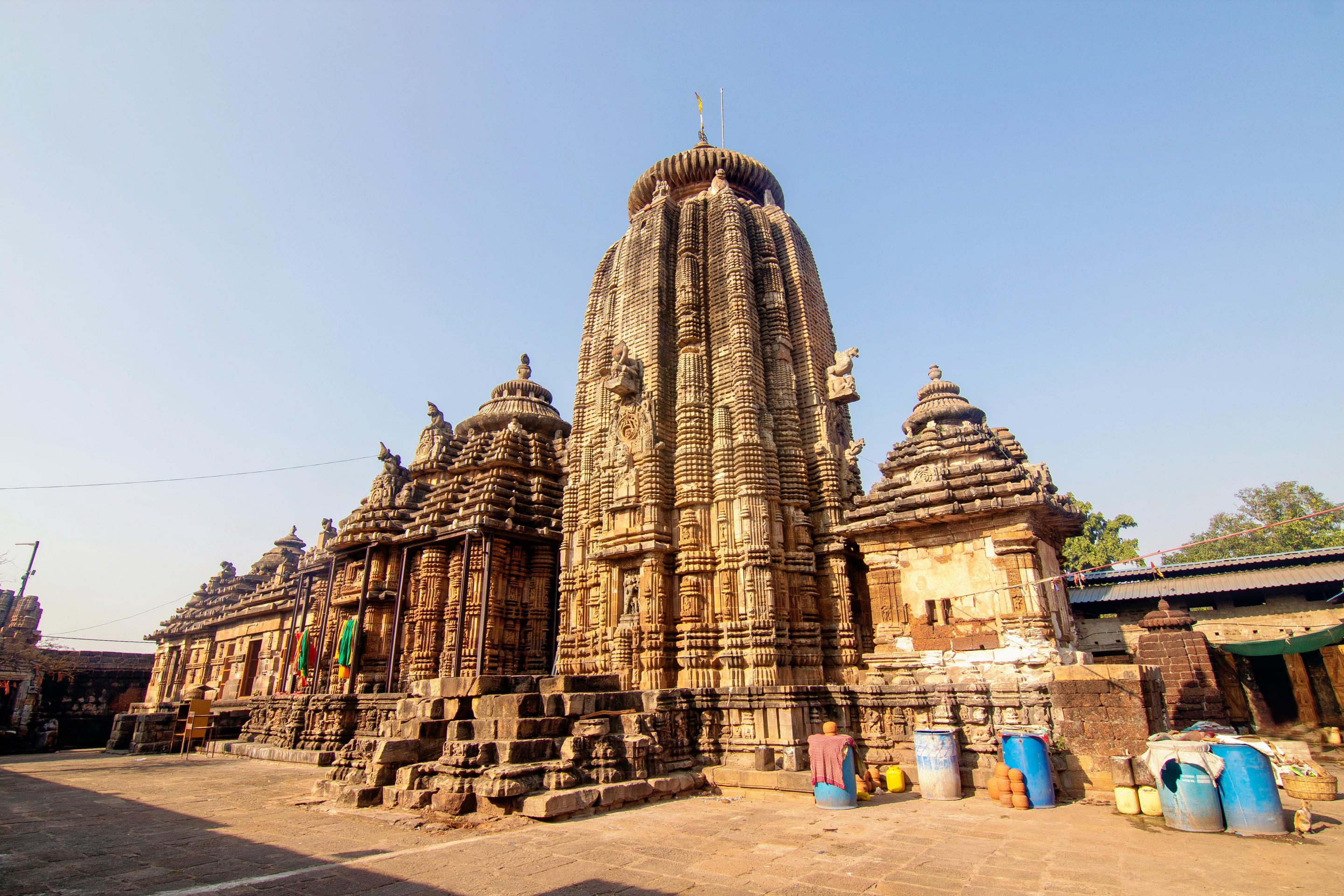 Ananta Vasudeva Temple Overview