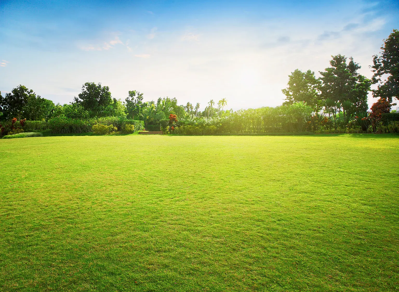 Dadra Garden