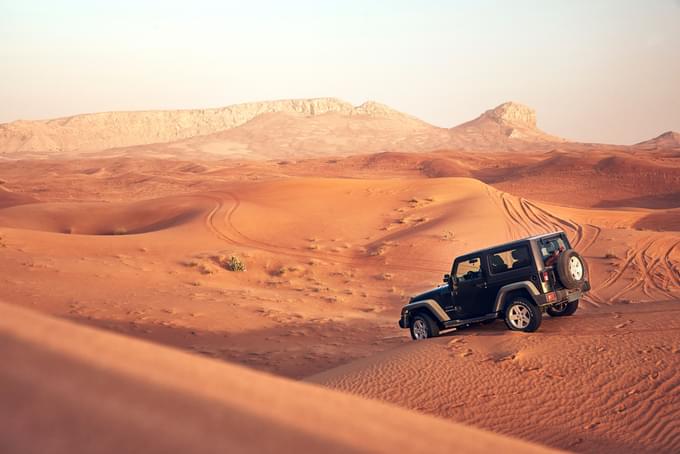 Morning desert safari abu dhabi