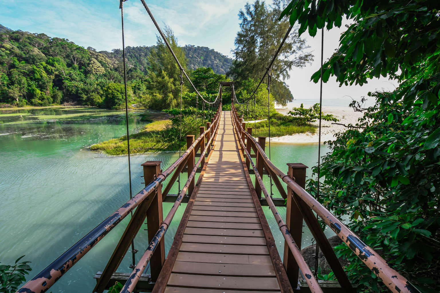 Penang National Park, <em>Penang</em>