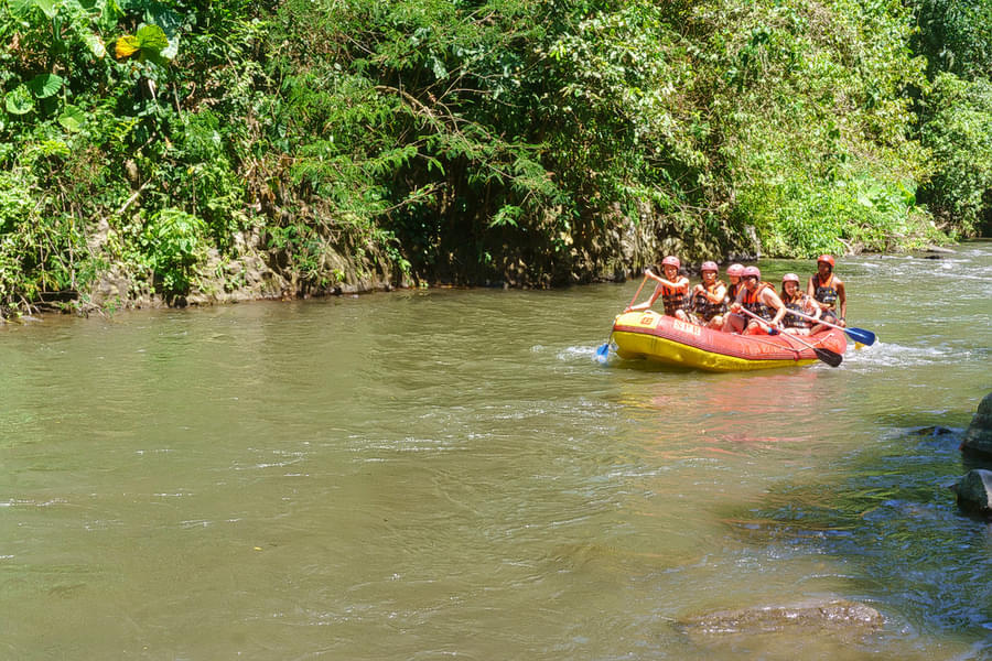 Ayung River Rafting With Elephant Ride Image