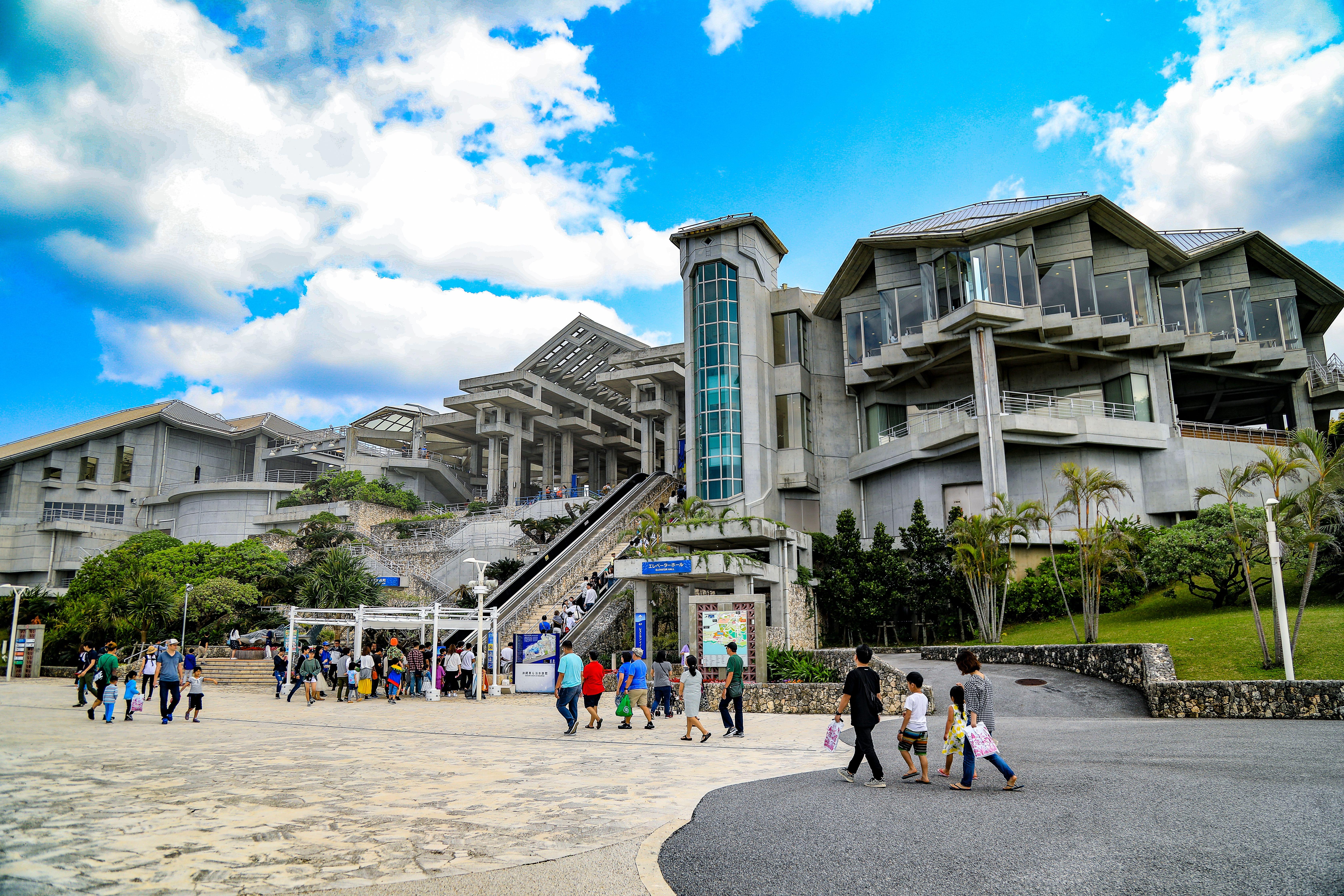 Okinawa Churaumi Aquarium Tickets