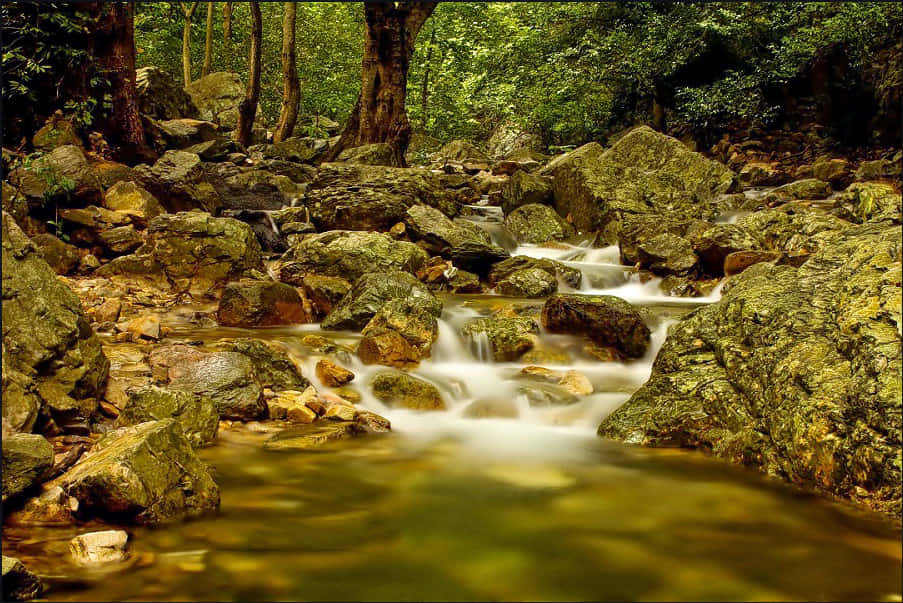 Tada Waterfall Trek With Camping