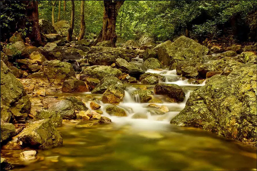 Tada Waterfall Trek With Camping
