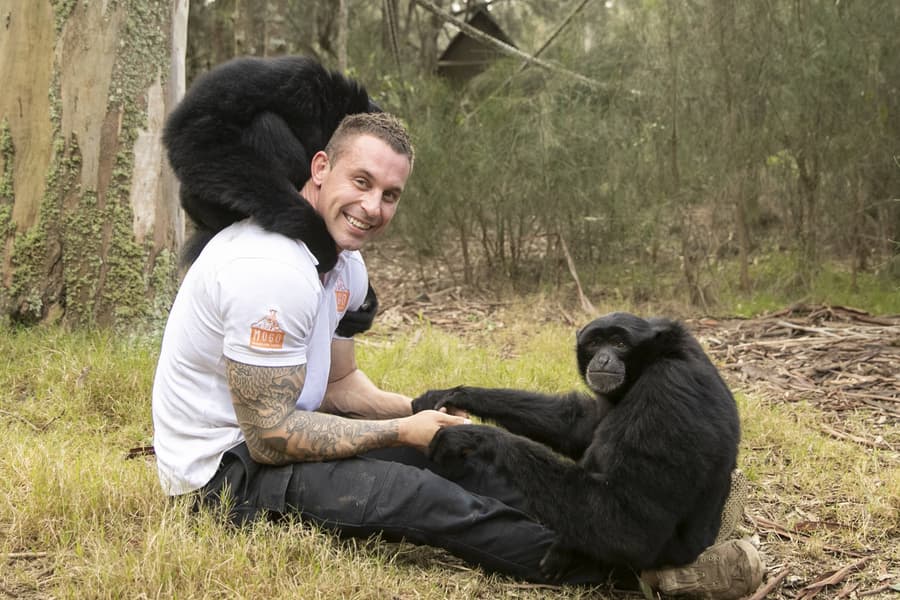 Mogo Wildlife Park Sydney Tickets Image