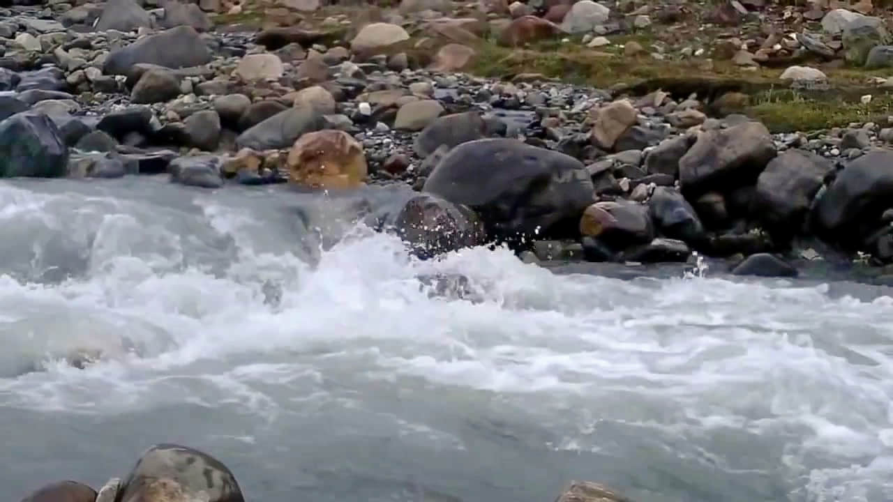 Photo from Shashi Iyengar's trip