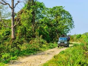 Jhalana Leopard Safari, Jaipur