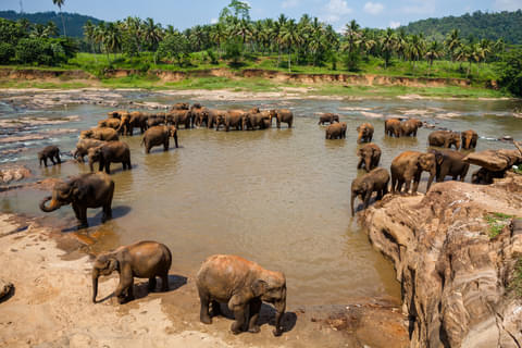 Activity & SightSeeing Image