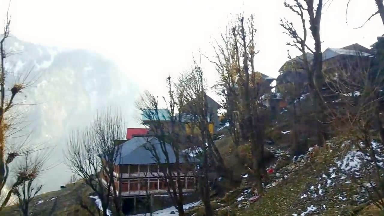 Photo from Shridevi Dhawan's trip