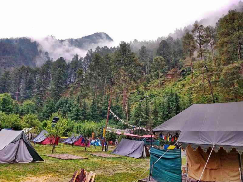 Camping in Woods Kasol Image