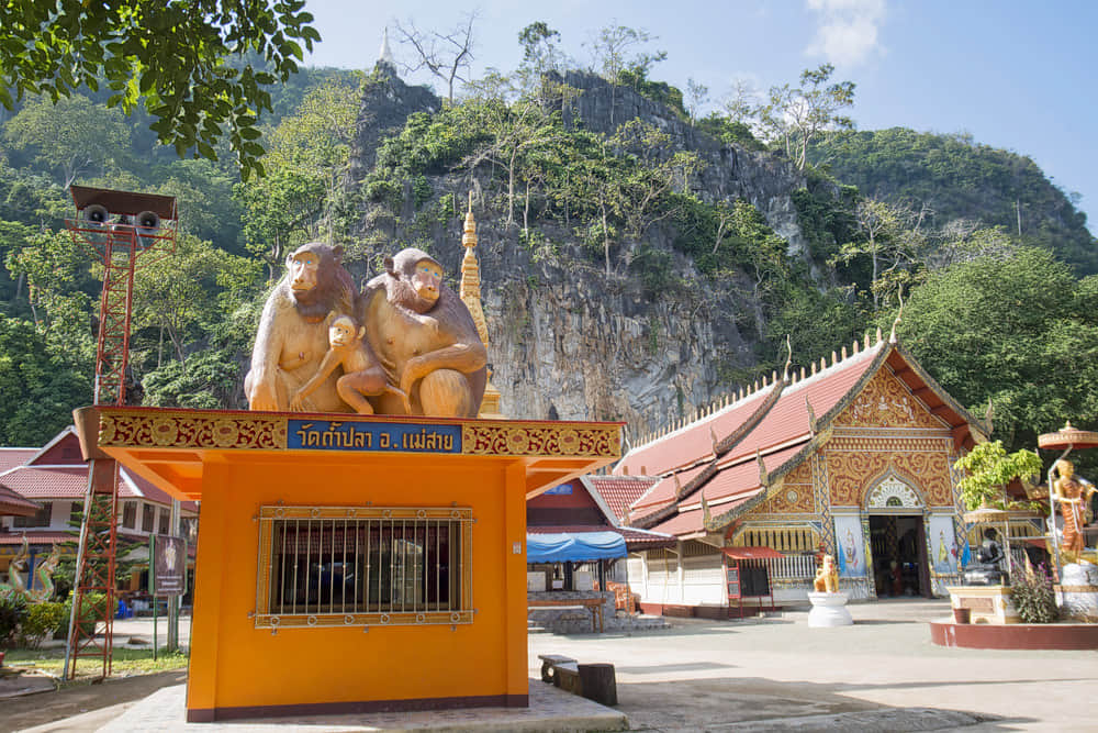 Monkey Temple, <em>Chiang Rai</em>