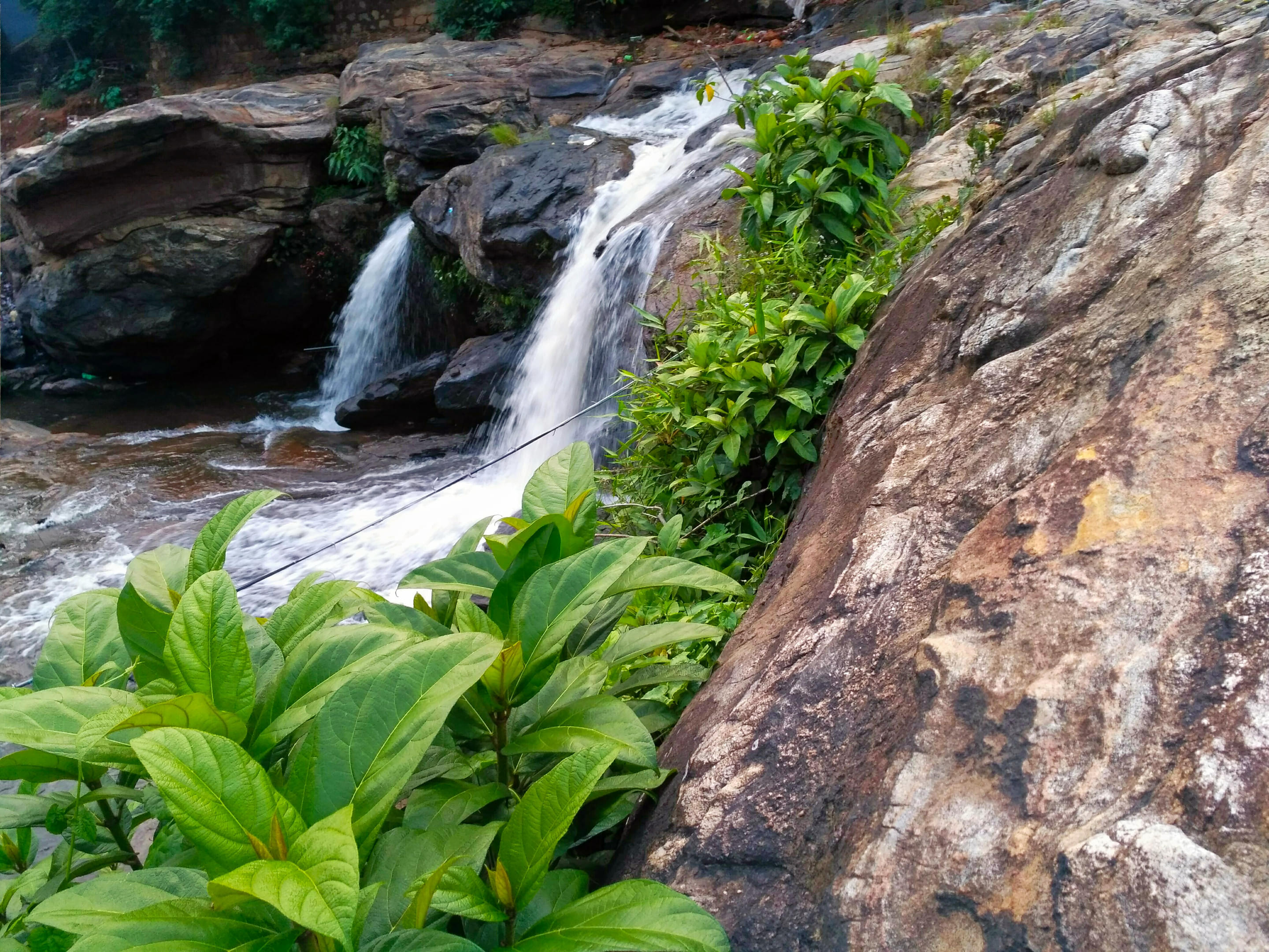 Chinna Kallar Falls Overview