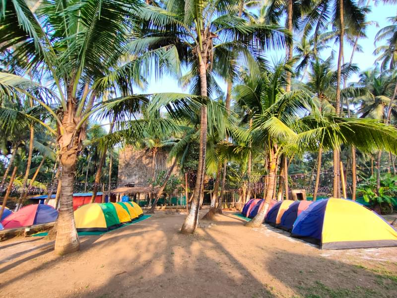 Revdanda Beach Camping, Alibaug Image