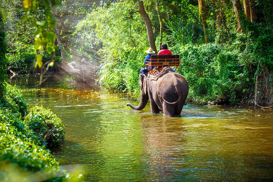 Elephant Safari Ride in Bali Image