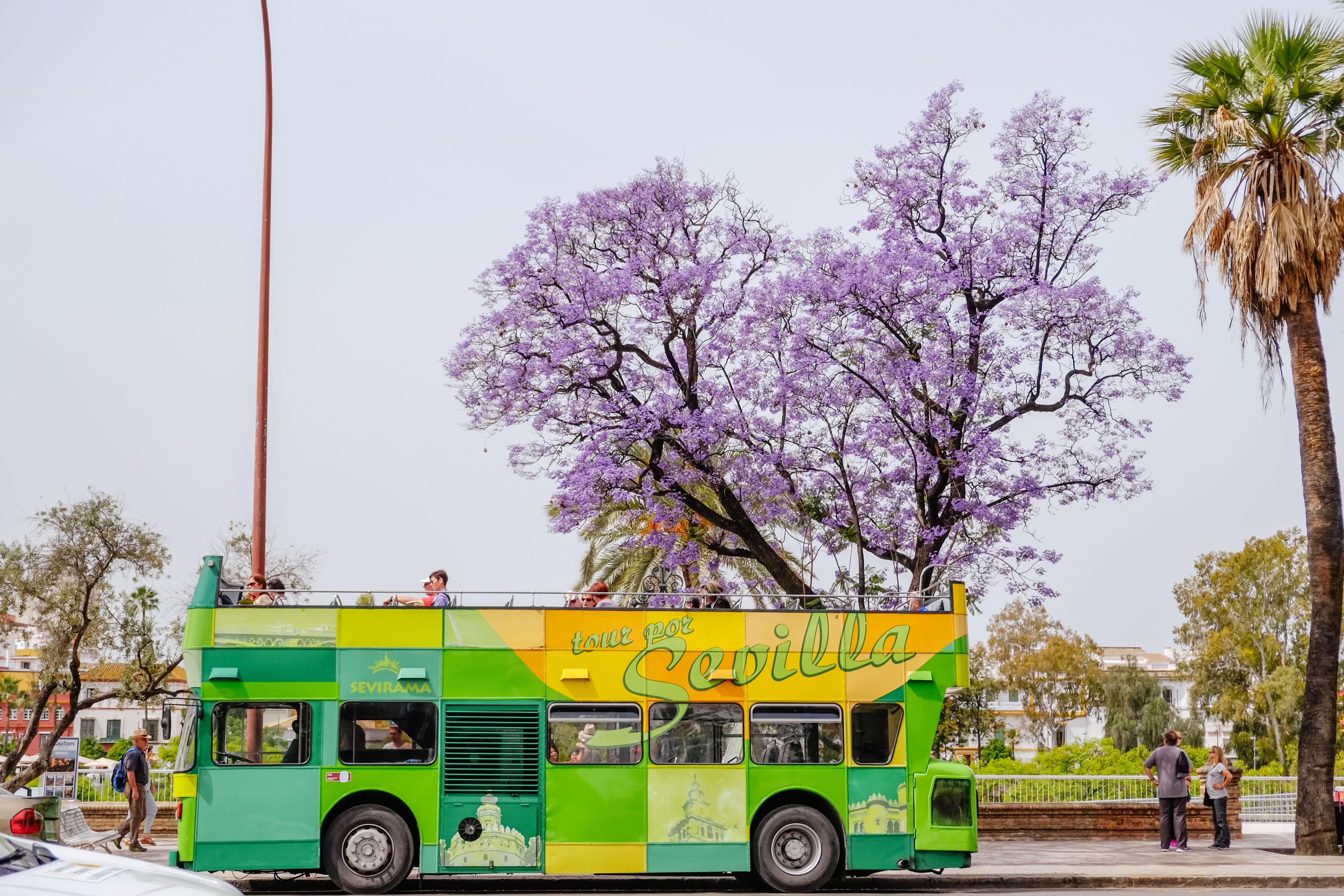 Seville Hop On Hop Off Bus Tour