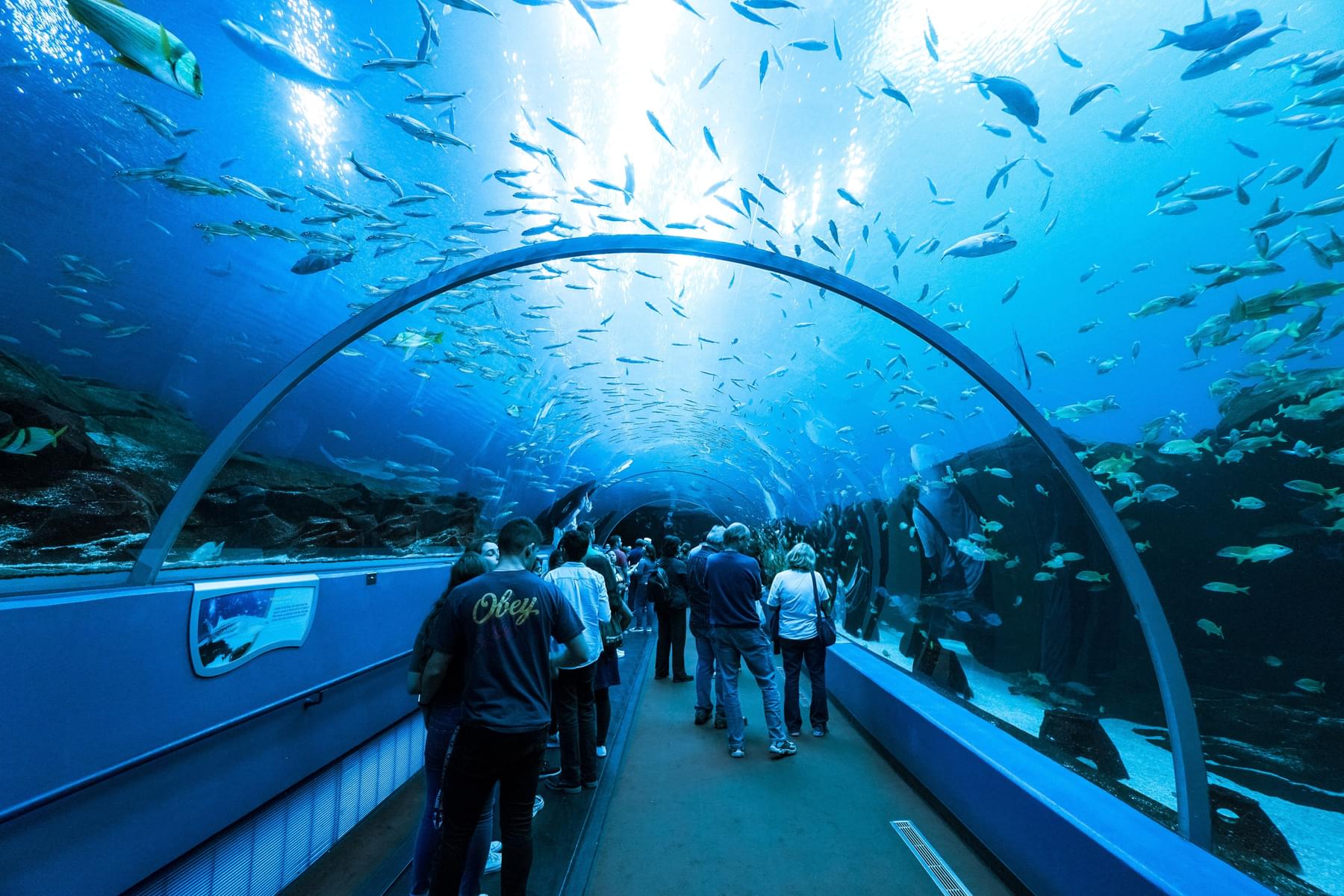 San Antonio Aquarium & Seaworld San Antonio Ticket Combo