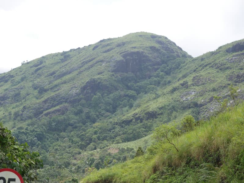 Cochin to Vagamon Sightseeing Tour Image