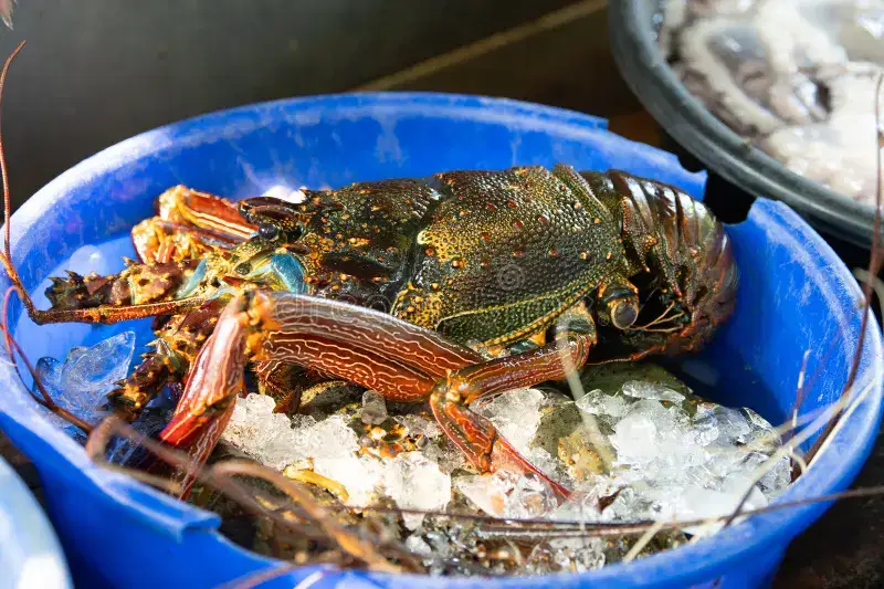 Try the Local Food