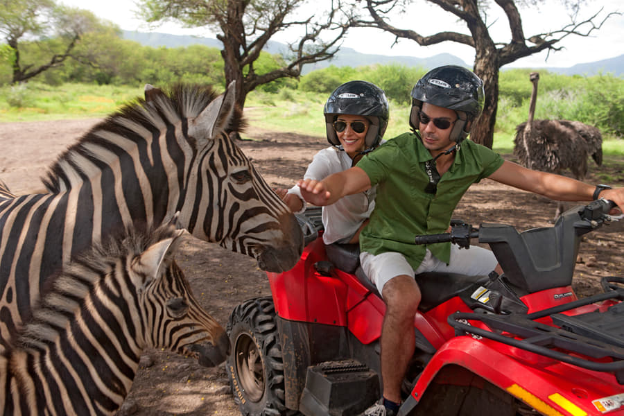 Captivating Mauritius Family Package Image