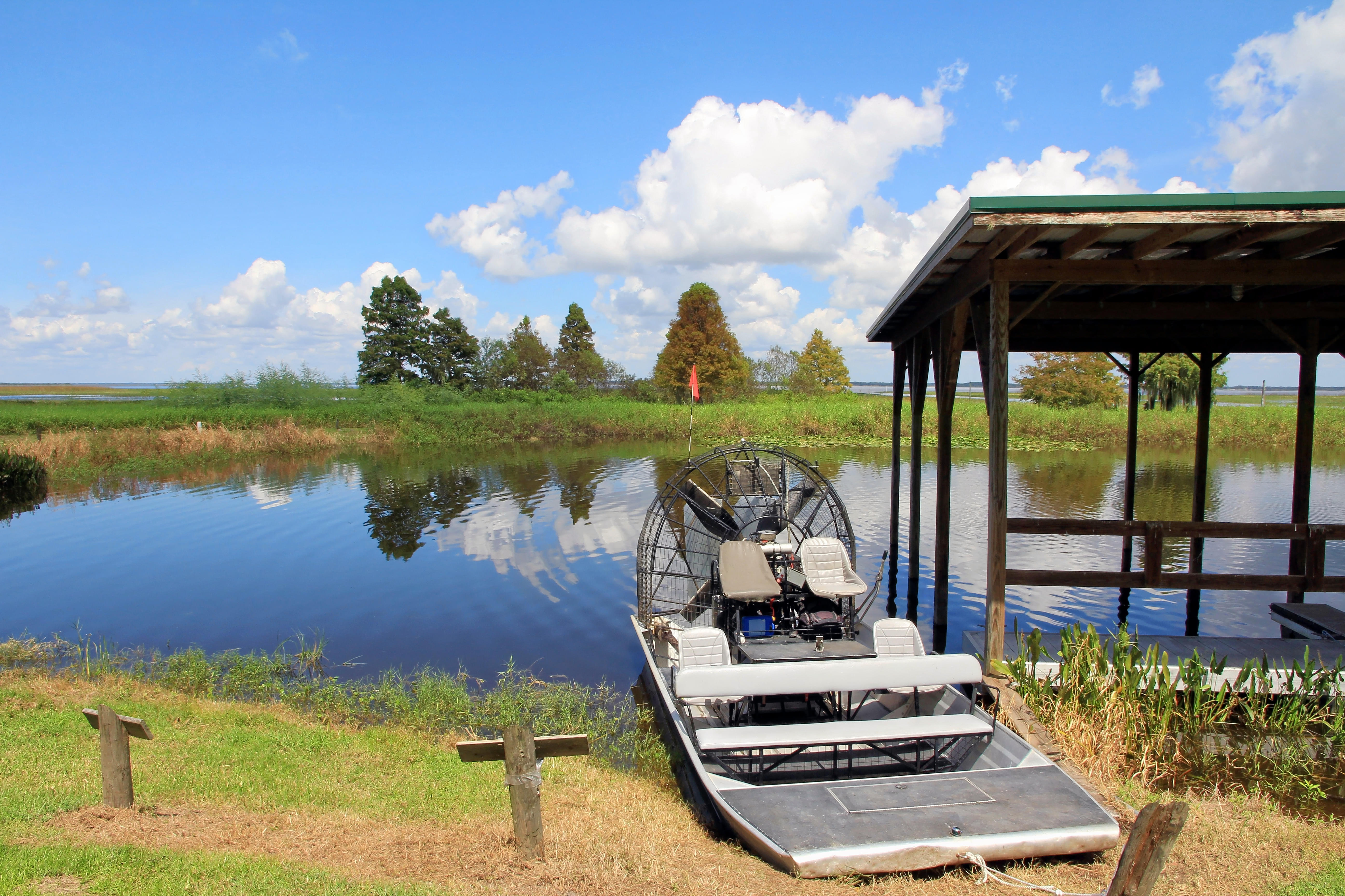 Get on this amazing airboat and explore the everglades