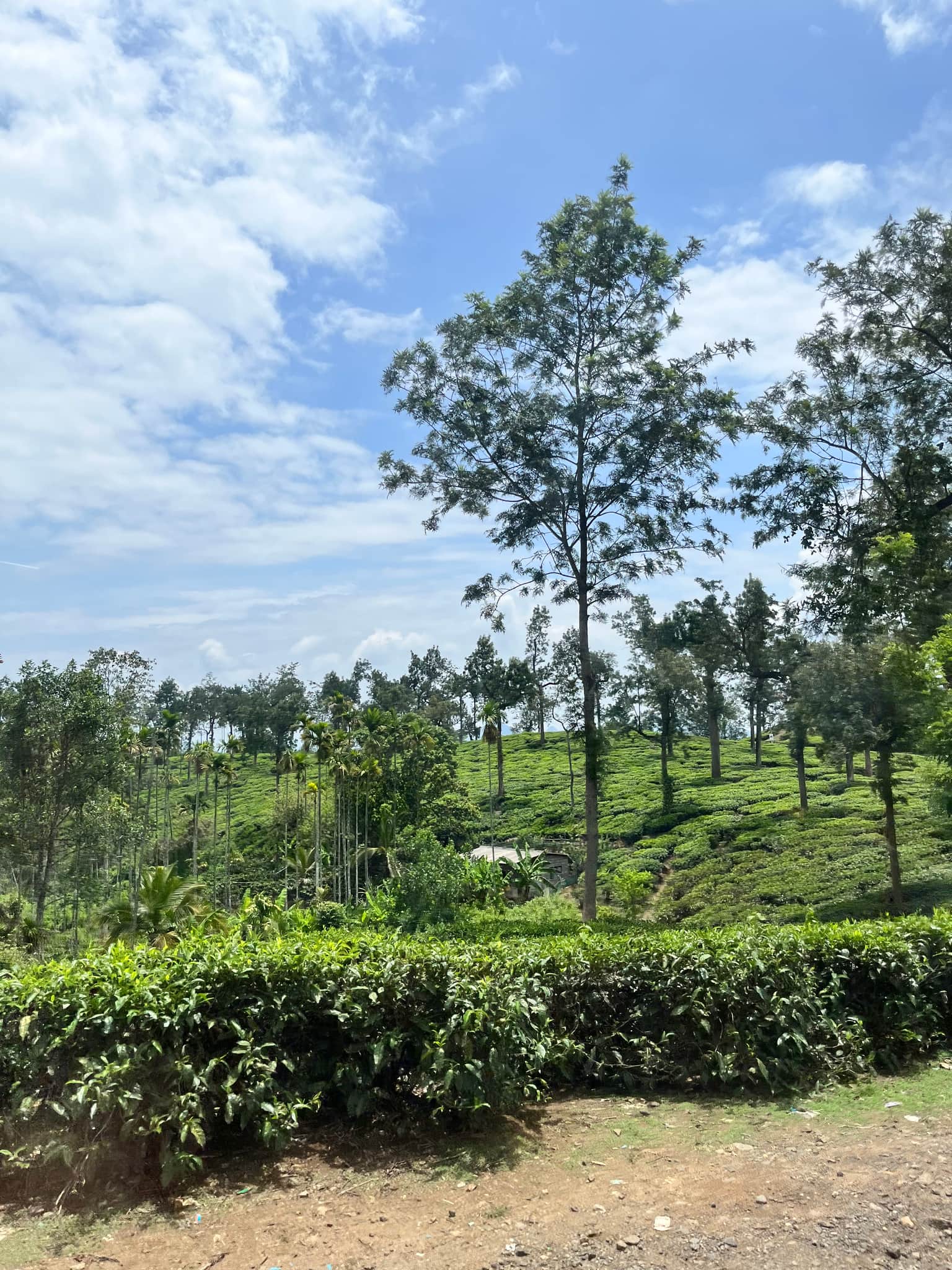 Photo from Pragati Pragati's trip