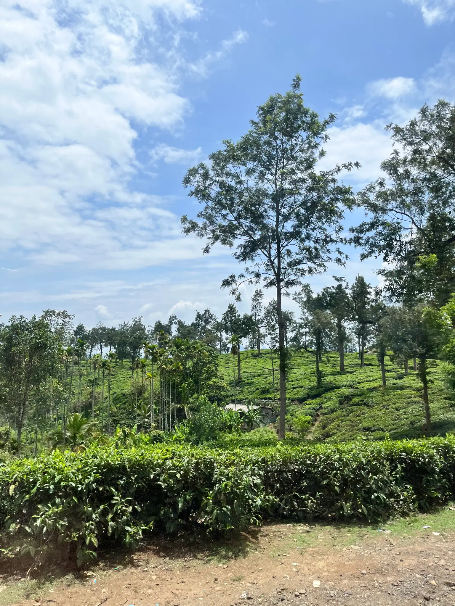 Photo from Pragati Pragati's trip