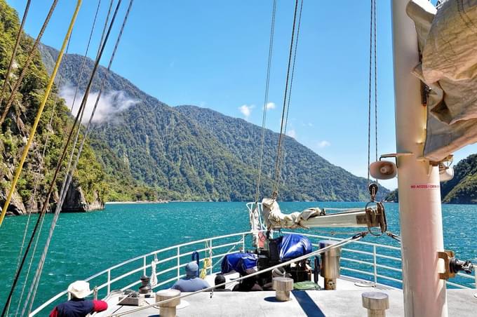 Milford Sound Diving