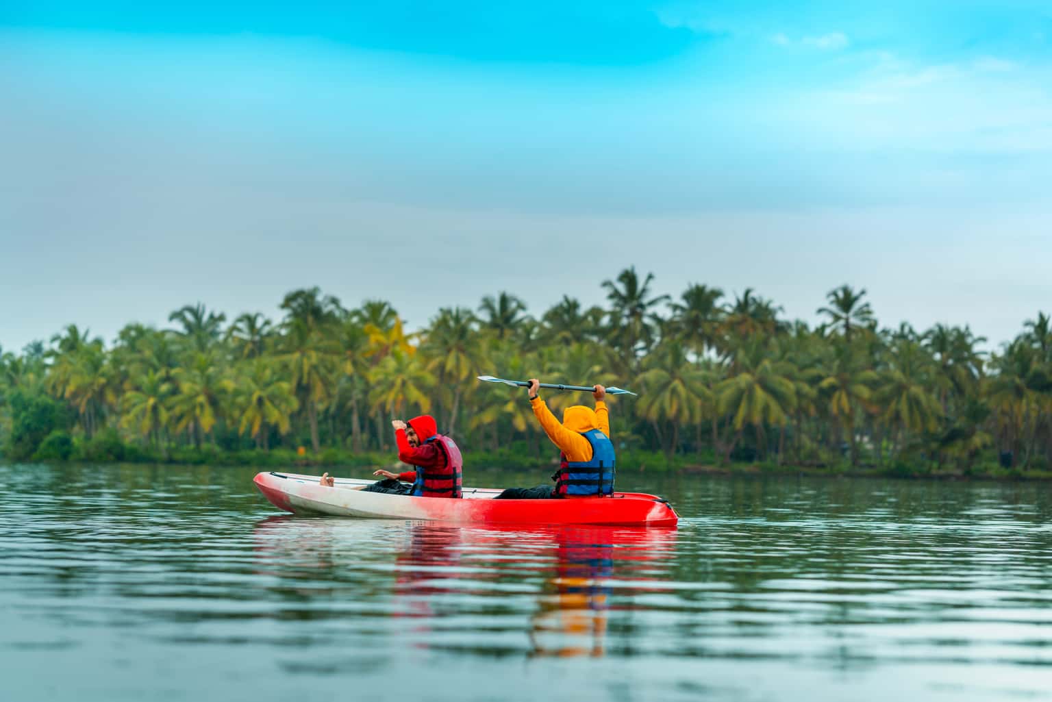Mangrove Forest Kayaking, Kerala