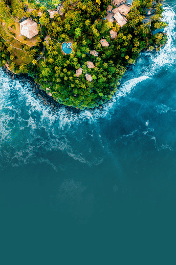 Fully-Loaded Sri Lanka | FREE Excursion to Mirissa