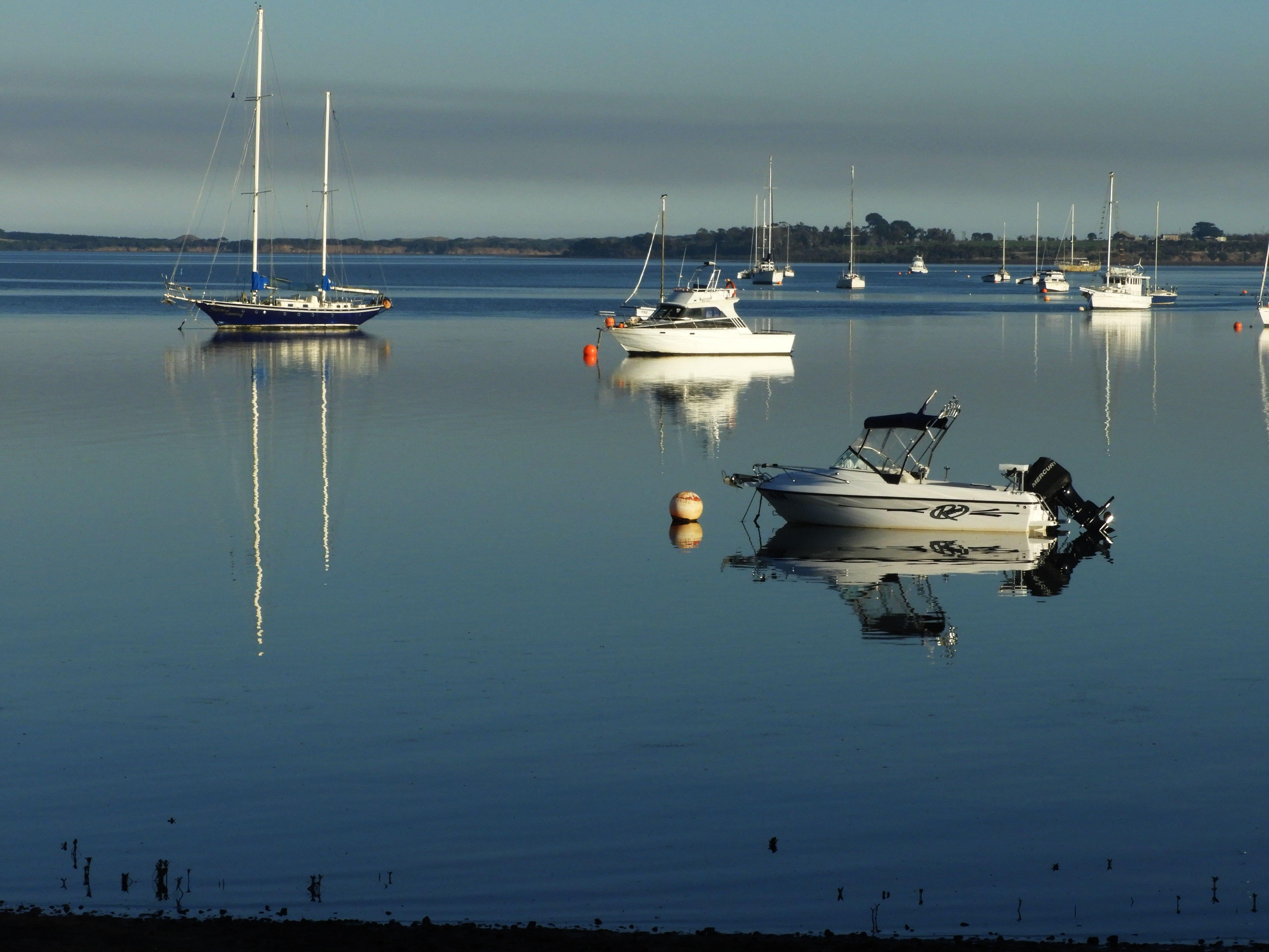 Philip Island Tour