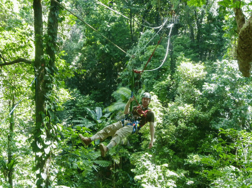 9 Things To Do In Daintree National Park To Relax With Nature