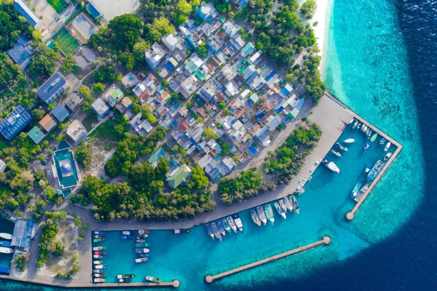 An Insight Into Marine Conservation, Maldives Image