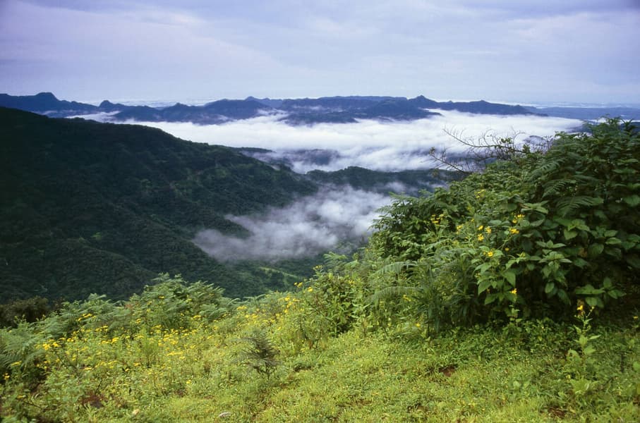 Mahabaleshwar Sightseeing Package Image