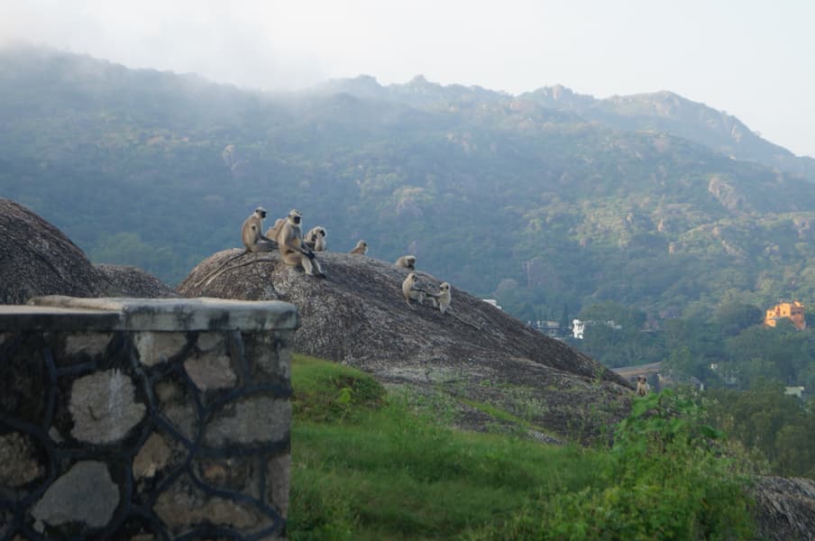 Mount Abu Family Package Image