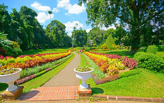 Perandeniya Botanical Gardens