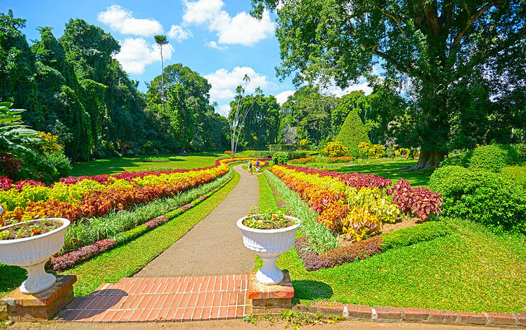 Perandeniya Botanical Gardens, <em>Kandy</em>