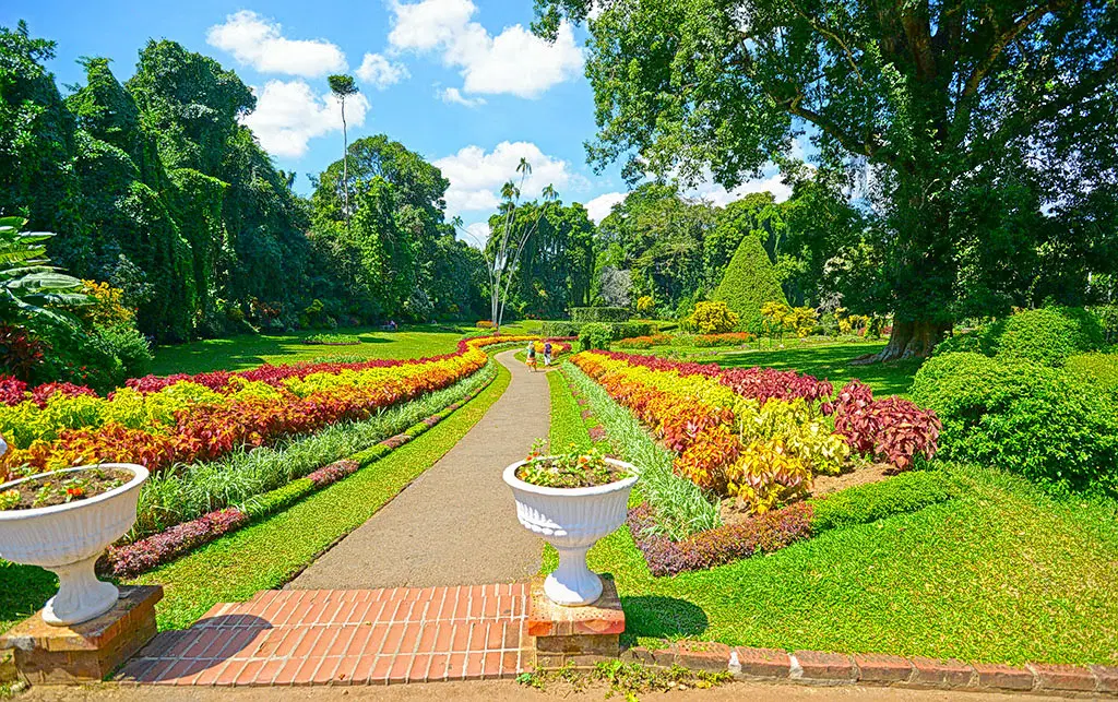 Perandeniya Botanical Gardens, <em>Kandy</em>