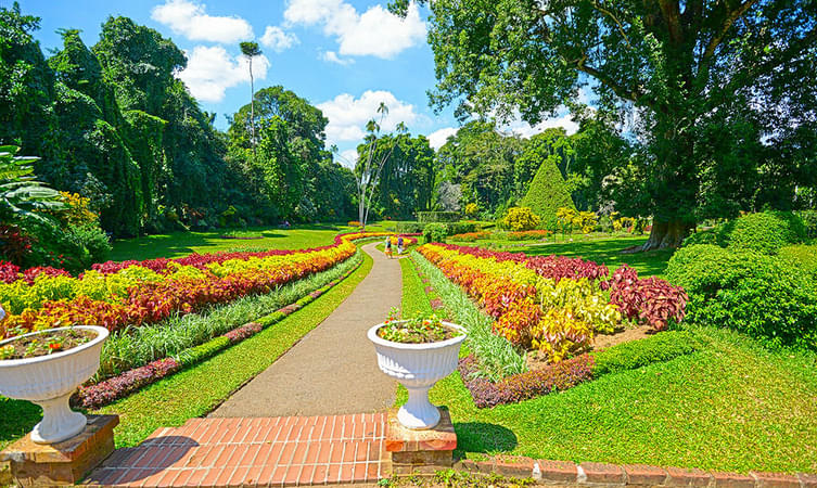 Perandeniya Botanical Gardens