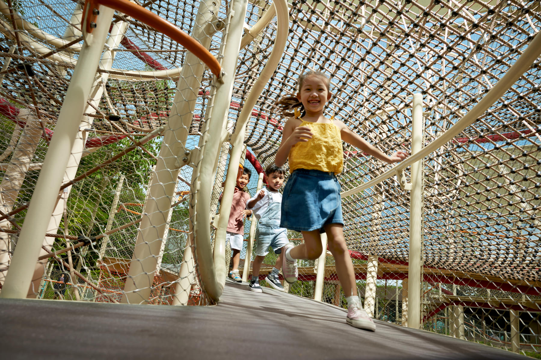 Kids can enjoy on the thrilling rope bridges